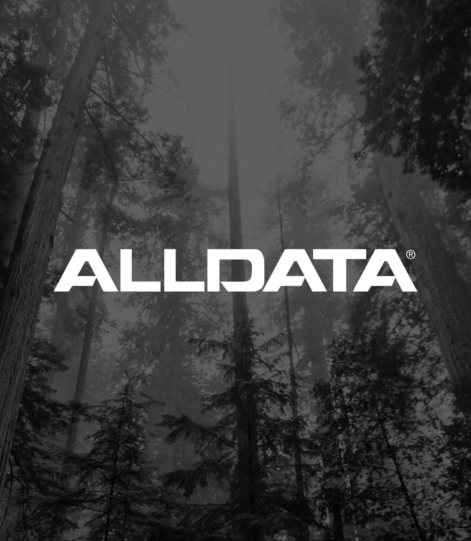 image of Alldata logo and forest tree tops