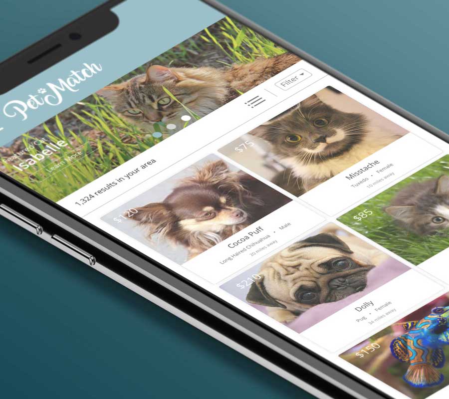 Petmatch Mobile Design Thumbnail